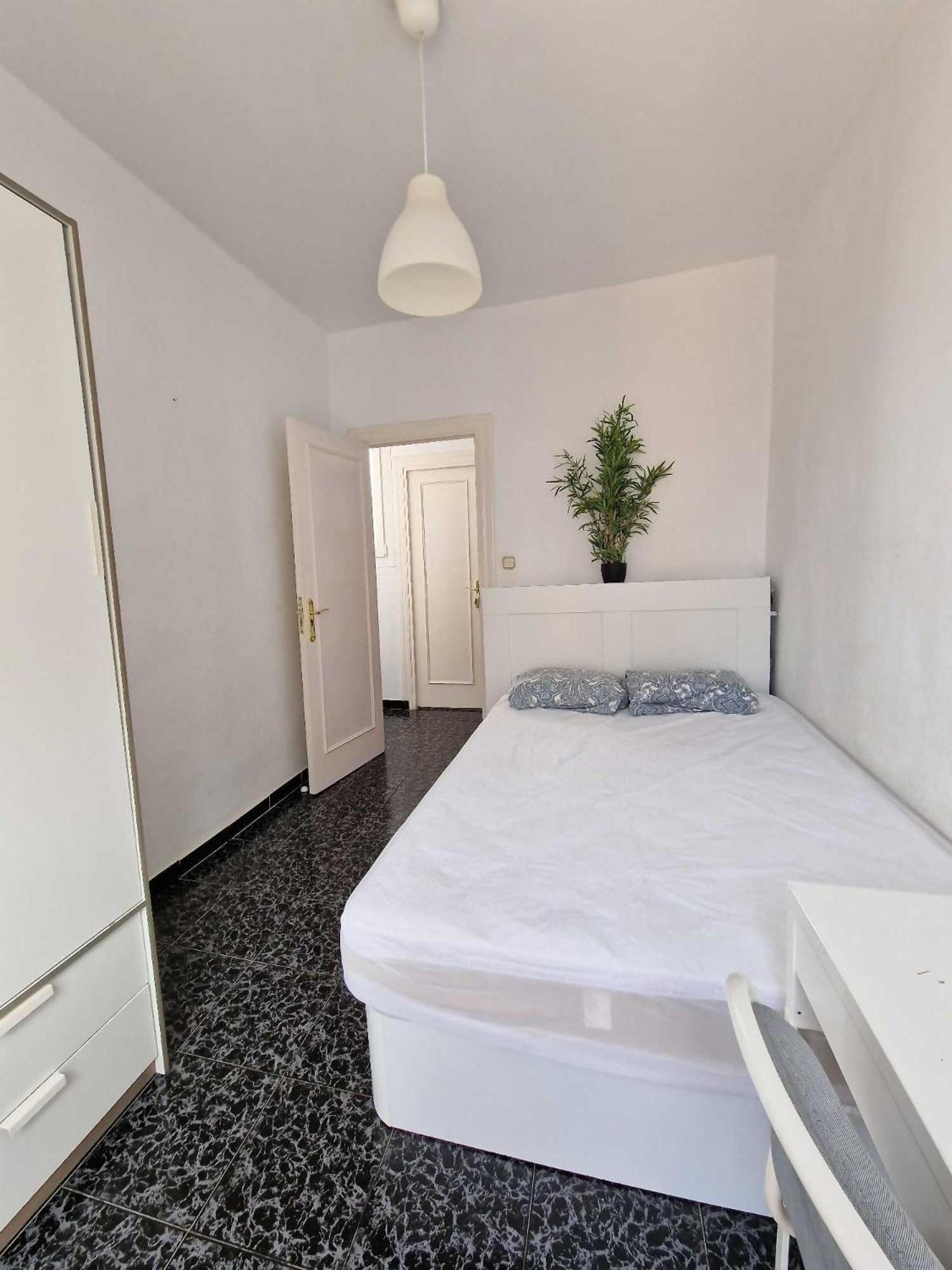 3 Rooms Con Parking Especerias Málaga Exterior foto